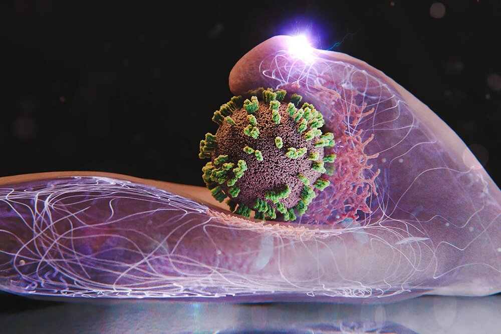 ورود ویروس آنفلوانزا به سلول انسان را زنده تماشا کنید