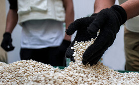 افزایش نگران‌کننده کشف قرص روان‌گردان در بوشهر