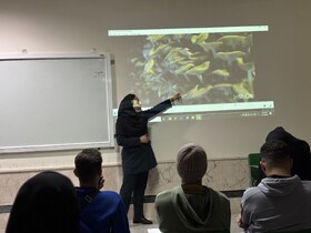 قارچ‌های توهم‌زا در چه زمینه‌هایی استفاده دارند؟