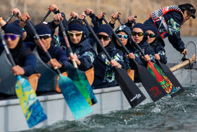 لیگ قایقرانی دراگون‌بوت