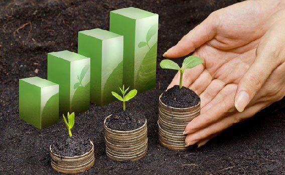 سرمایه‌گذاری سبز فرصت ایجاد ارزش افزوده در صنایع ایران/حمایت از ۱۱۰ پروژه تا امروز