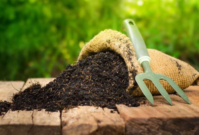 تأمین ۶۰۰ تن کود فسفاته برای بهره‌برداران استان یزد