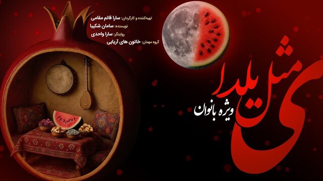 فیلم‌های حقیقت در شهرستانها تا خبرهایی از «بزم پادشاه پروانه»