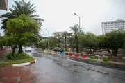 رگبار باران در شمال کشور