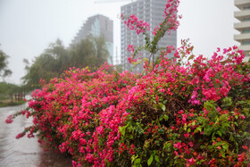 بارش‌های شدید و رگباری باران پاییزی در کیش