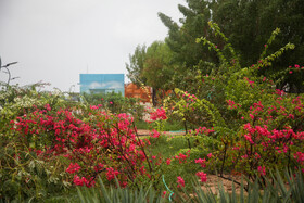 پیش‌بینی رگبار برای خوزستان 