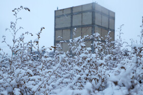 بارش برف پاییزی در شهرستان اهر