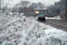 بارش برف پاییزی در شهرستان اهر