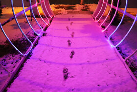 بارش برف پاییزی در شهرستان اهر