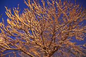 بارش برف پاییزی در شهرستان اهر