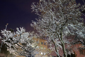 بارش برف پاییزی در شهرستان اهر