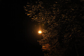 بارش برف پاییزی در شهرستان اهر