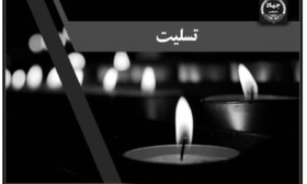 پیام تسلیت دکتر منتظری به مشاور رئیس جهاددانشگاهی