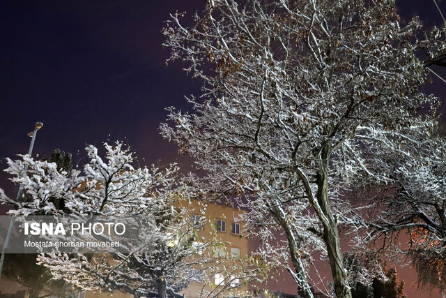 بارندگی ۱۲ چراغ راهنمایی مشهد را از مدار خارج کرد