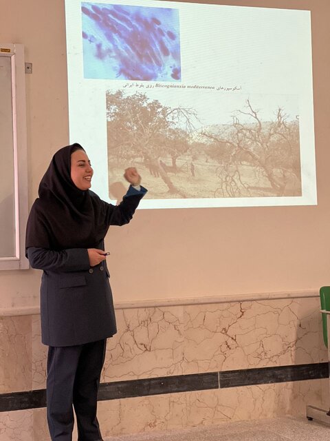 برگزاری نشست تخصصی «بررسی عوامل زوال بلوط در جنگل‌های زاگرس» در ایلام&nbsp;