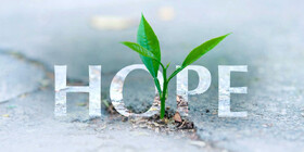 امید اجتماعی را نا امید نکنیم