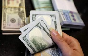 تشکیل کمیته رصد ارزی؛ آیا گره تامین ارز کالاهای اساسی باز می‌شود؟