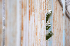 بارش برف پاییزی در دانشگاه محقق اردبیلی