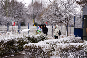 بارش برف پاییزی در دانشگاه محقق اردبیلی