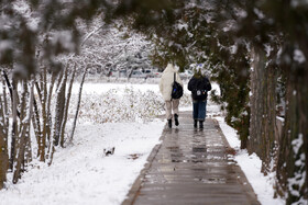 بارش برف پاییزی در دانشگاه محقق اردبیلی