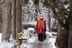 بارش برف پاییزی در دانشگاه محقق اردبیلی