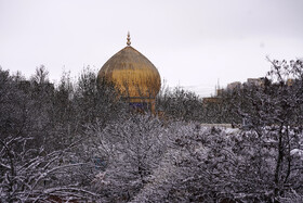 بارش برف پاییزی در دانشگاه محقق اردبیلی