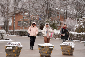 بارش برف پاییزی در دانشگاه محقق اردبیلی