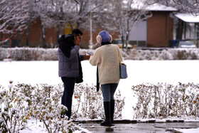 بارش برف پاییزی در دانشگاه محقق اردبیلی
