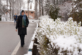 بارش برف پاییزی در دانشگاه محقق اردبیلی