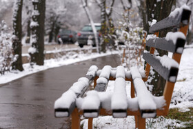 بارش برف پاییزی در دانشگاه محقق اردبیلی