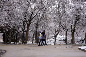 بارش برف پاییزی در دانشگاه محقق اردبیلی