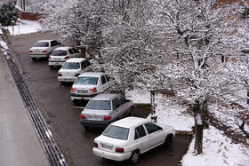 بارش برف پاییزی در دانشگاه محقق اردبیلی