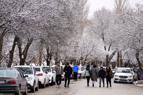 بارش برف پاییزی در دانشگاه محقق اردبیلی