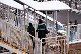 بارش برف پاییزی در دانشگاه محقق اردبیلی