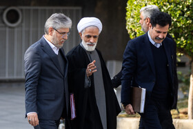 از راست- عبدالکریم حسین‌زاده، معاون رئیس‌جمهور در امور توسعه روستایی، مجید انصاری، معاون حقوقی رئیس‌جمهور و حسین سیمایی صراف، وزیر علوم در حاشیه جلسه هیات دولت - ۲۶ آذر