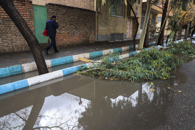 بارش باران و آبگرفتگی معابر در کرمان