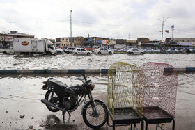 بارش باران و آبگرفتگی معابر در کرمان