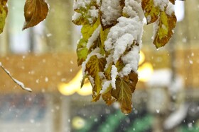 بارش برف پاییزی در همدان