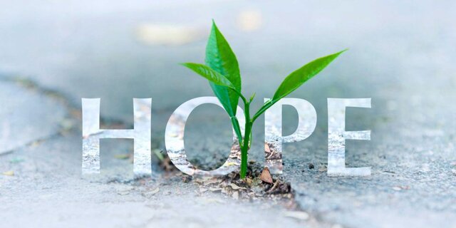 امید اجتماعی را نا امید نکنیم