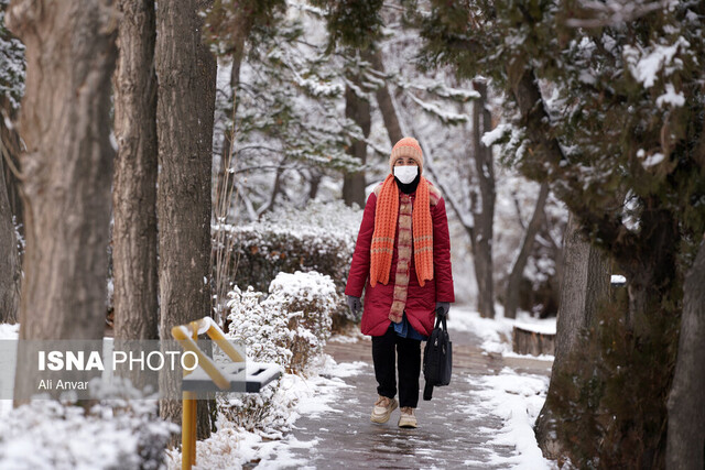 بارش برف پاییزی در دانشگاه محقق اردبیلی
