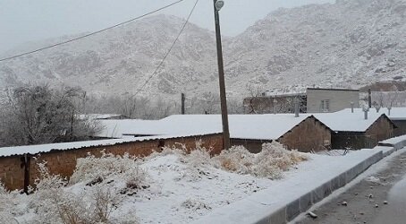 گزارشی از بارش رحمت الهی در سراسر استان کرمان  عکس و فیلم