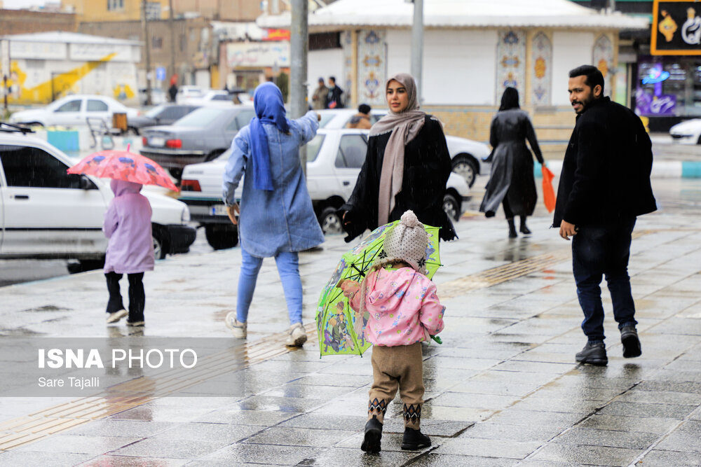 معاون هواشناسی استان: سامانه بارشی وارد بوشهر می‌شود