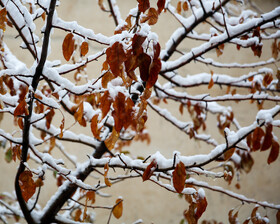 بارش برف پاییزی - مشهد