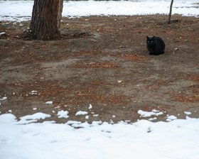 بارش برف پاییزی - مشهد
