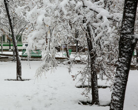 بارش برف پاییزی - مشهد