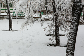 بارش برف پاییزی - مشهد