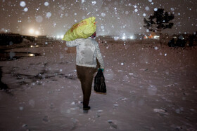 هرشب تعدادی ون برای جمع آوری این بی‌خانمان‌ها در مکان‌های مشخصی که از قبل شناسایی شده اعزام و به اراده خود جمع آوری می‌شوند و به گرمخانه‌ها برده می‌شوند.