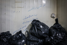 گرمخانه سبز مشهد