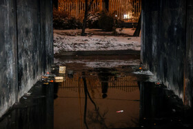 گرمخانه سبز مشهد