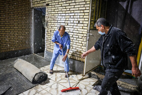 گرمخانه سبز مشهد